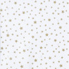 Coated  Cotton DOUSNUI White / Gold22